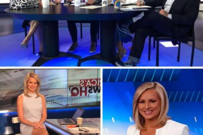 “THE COUNTRY IS HEATING! SANDRA SMITH IS OFFICIALLY JOINING GREG GUTFELD ON THE FIVE — FANS ARE COUNTDOWN FOR THE BIG BREAK!”