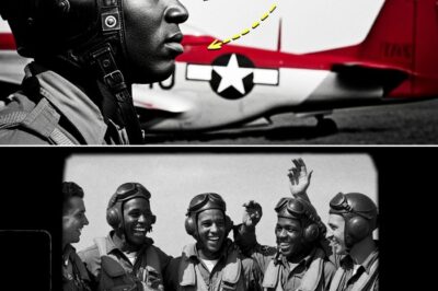 German Pilots Laughed at America’s ‘Red Tails’ – Then They Racked Up Over 100 Kills