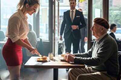 She Helped an Old Man Every Day — Until His Grandson Walked In With Lawyers and Changed Everything…