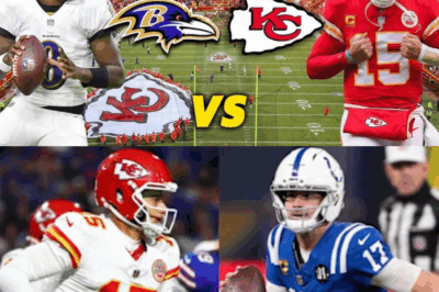 THE DATA COLLAPSE: Why Algorithms FAILED the NFL and How ONE Analyst’s Gut Instinct is the ONLY Map Left to Navigate the Playoff Chaos.