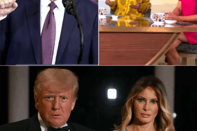 SHOCKWAVES: “HE ERASED HER” – WHITE HOUSE SCANDAL ERUPTS AS TRUMP IS ACCUSED OF DESTROYING MELANIA’S PRIVATE WING IN A HORRIFYING ACT OF REVENGE!