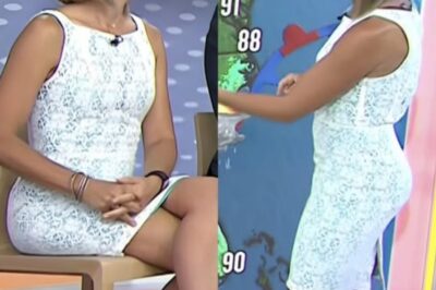 ANCHOR OF THE STORM: Dylan Dreyer’s Secret Superpower That Turns Science Into Safety — The Quiet Confidence That Calmed A Nation During Sandy.