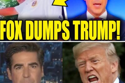 The Dam Bursts: Fox News Bombshell and a Republican Exodus Signal the Terminal Collapse of the Trump Era