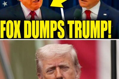 The Walls Fall Down: Profane Fox Host Leak and Total Judicial Rebuke Expose the Humiliating End of Trump’s Grip