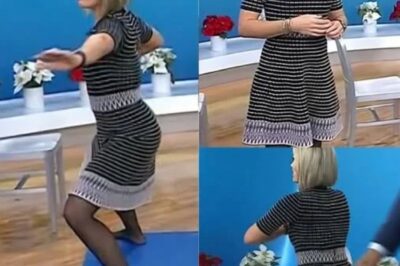 Beyond the Smile: How One Woman’s Precision Became the ‘Gold Standard’ for Broadcast Meteorology