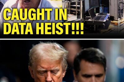 The Silent Betrayal: Federal Judge Exposes How Trump Regime Weaponized IRS Data Against Immigrant Taxpayers