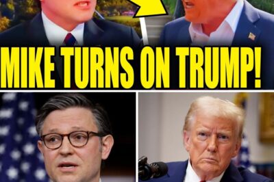 Johnson Strikes Back at the President: Mass Resignations Erode Term, Igniting MAGA Civil War and Threatening House Loss