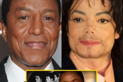 ‘He’s My Brother’: Jermaine Jackson Shatters “Jealousy” Myth, Reveals Agonizing Fight to Save Michael from ‘Outside’ Forces