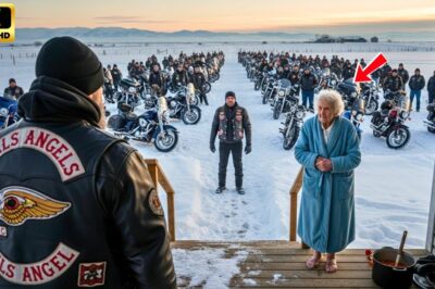 Kind Old Lady Shelters 15 Hells Angels During a Snowstorm — Next Day 100 Bikes Line Up at Her Door