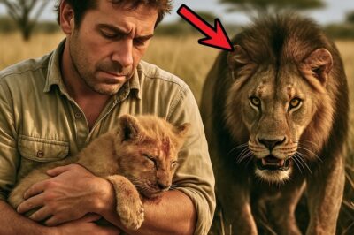 Man Saved LION CUB, Then Its FATHER Did Something UNBELIEVABLE