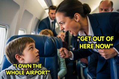 Flight Attendant Orders Boy To Give Up Seat For Passenger — One Call, 6 Minutes Later, $1.2B Freezes