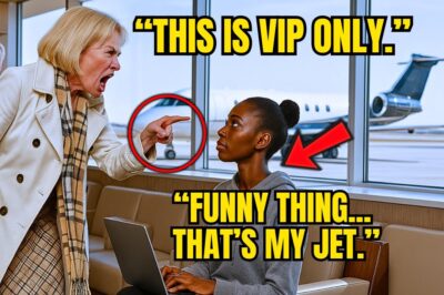 Black CEO Insulted by Passenger, Moments Later She Boards Her $22B Private Jet!