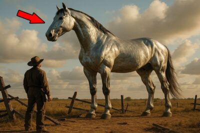 Cowboy Saved a Foal From a Blizzard — It Grew Into a Creature Of Unbelievable Size