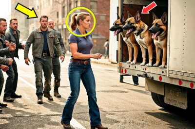Bikers Harass Girl Truck Driver — Until Her Police Dogs Show Their Training!
