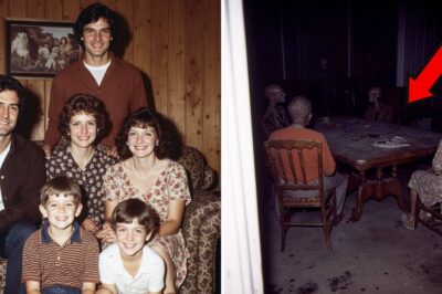 A family disappeared in 1972. Thirty years later, a bricklayer discovers this…