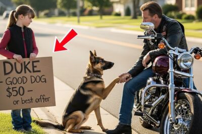 Buy Dog For Me, Sir… Mommy Hasn’t Eaten In Two Days” — Bikers Learned Who Took Everything From Her