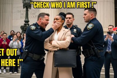 Cops Slapped a Black Woman in Court — Seconds Later, She Took the Judge’s Seat