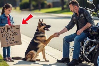 Buy Dog For Me, Sir… Mommy Hasn’t Eaten In Two Days”— Bikers Discovered Who Took Everything From Her