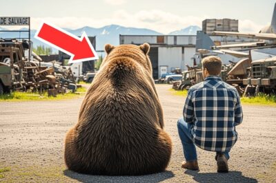 Broken Veteran Inherits Scrapyard and Old Bear — Until the Bear Discovers a $200 Million Secret