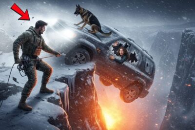 SEAL Veteran and K9 Save Woman on Cliff — Unaware She’s the Heiress Who Changes Everything