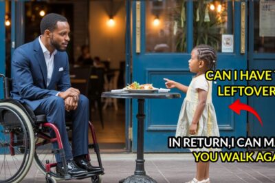 Poor Girl Asks Paralyzed Millionaire “Trade Your Leftovers for a Cure” He Laughs — Then Everything