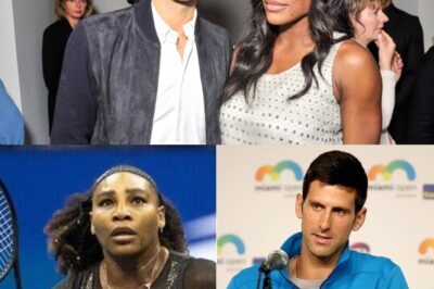 Why Novak Djokovic once apologised to Serena Williams after making comments that angered WTA players
