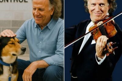 MIRACLE IN NEW JERSEY: André Rieu quietly saves a dog shelter on the verge of closing — His actions left everyone stunned!