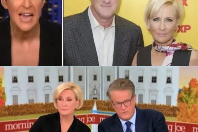 The War for the Soul of MS Now: Ego, Empire, and the Scandal of the Empty Chair