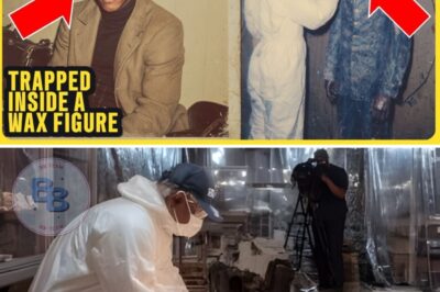 A Museum Kept a “Wax Figure” for 50 Years —A New Curator Realized It Was the Body of a “Missing” Man