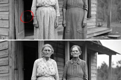 The Pine Ridge Sisters Were Found in 1974 — What They Revealed Had Been Buried for Generations