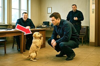A Stray Puppy Ran Into a Police Station for Help – What the Officer Found Made Everyone Cry!