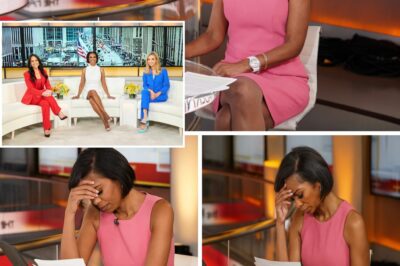 “OFF AIR NOW!” — After 17 years of never missing a beat, Harris Faulkner suddenly put down the pad of paper, looked straight into the camera, and OFF-SCRIPT.