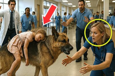 Police Dog Walks Into Hospital with a Wounded Little Girl – No One Could Believe What Followed!