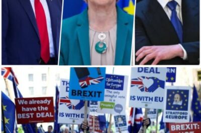 EUROPE IN FREE FALL: TRUMP AND MUSK JOIN FORCES WITH 17.4 MILLION BRITONS TO SLAM BRUSSELS INTO CRISIS MODE