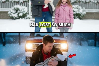 Single Dad Finds Abandoned Baby in the Snow on Christmas Eve – A Heartwarming Miracle Story