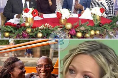 Dylan Dreyer’s 6-word statement on TODAY Show results in co-star walking off air