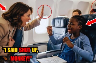 White Passenger Slapped A Black Autistic Girl For Screaming Mid Flight.