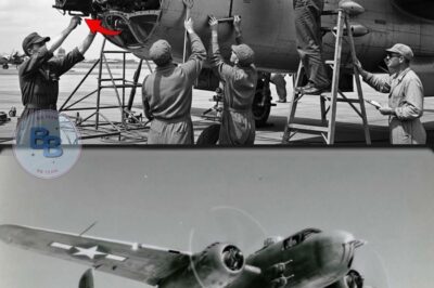 Engineers Called His B-25 Gunship “Impossible” — Until It Sank 12 Japanese Ships in 3 Days
