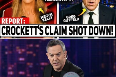 The “Cosplay” Congresswoman? Jasmine Crockett “Torched” on National TV After Controversial Farming Comment Sparks Brutal Reality Check