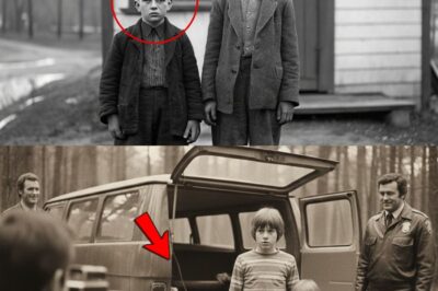 The Reeves Boys Were Found in 1972 — What They Confessed Destroyed the Case