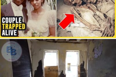 Room 237: The 41-Year-Old Secret Sealed Behind the Walls of Birmingham’s Grand View Hotel