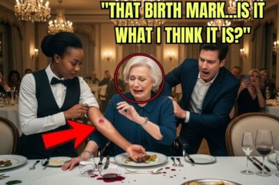 Billionaire Grandma Froze at Black Waitress’s Birthmark — What She Revealed Next Shocked Everyone