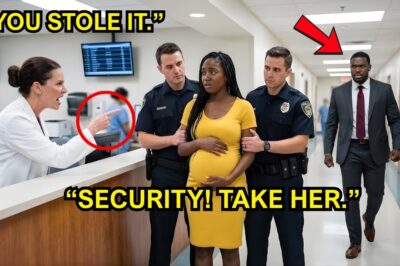 Doctor Accused a Pregnant Black Woman of Theft — Minutes Later, Her Husband Changed Everything