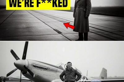 German Aces Mocked the P-51 Mustang — Until 200 of Them Appeared Over Berlin