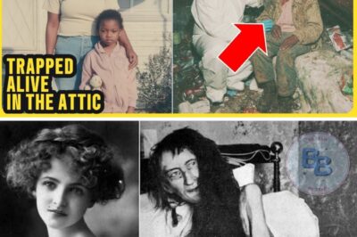 She Bought Her Childhood Home to Find Closure. She Found the Mother Who ‘Abandoned’ Her 23 Years Ago Locked in the Attic.