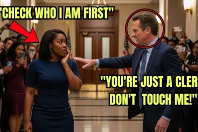 Arrogant Billionaire Slapped a Black Woman in Court — Minutes Later, She Took the Judge’s Seat