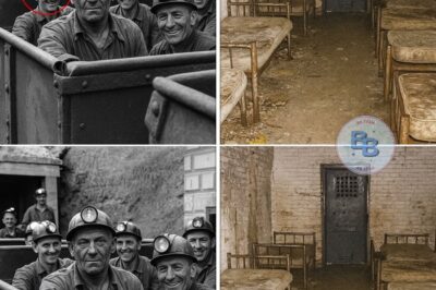 Miners Vanished in 1962 — 50 Years Later a Sealed Room Was Found Inside the Abandoned Mine…