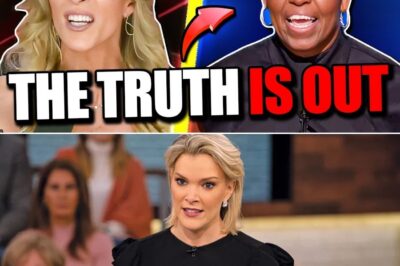 Megyn Kelly Rips Into Michelle Obama’s DNC Speech, Exposing the “Breathtaking” Hypocrisy of Her Wealth Narratives