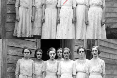 Every Daughter in the Wilkes Family Died on Her Wedding Night — Until One Killed the Groom