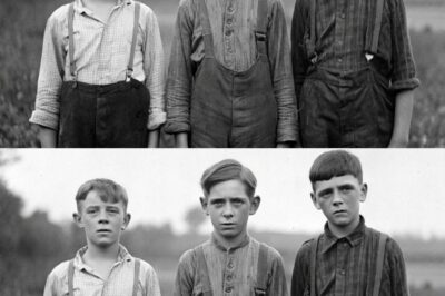 The Briar Creek Boys Were Found in 1958 — What They Told the Sheriff Broke the Case Open